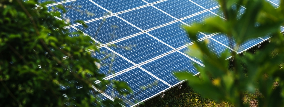 SCEF featured on SustainableBiz.ca